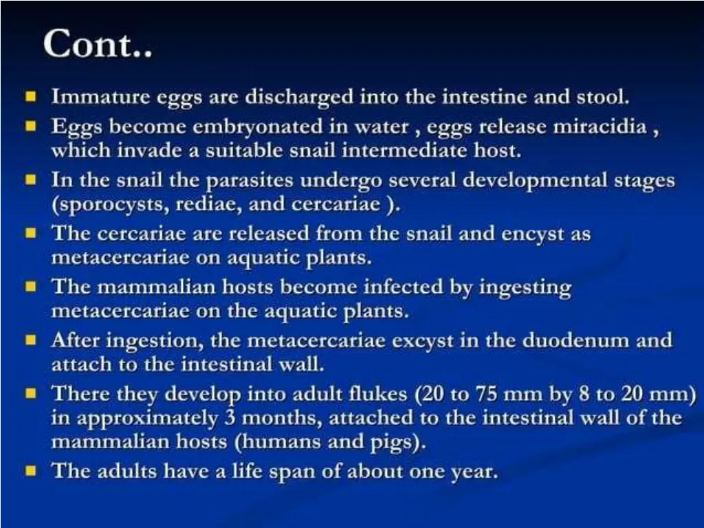 slide17