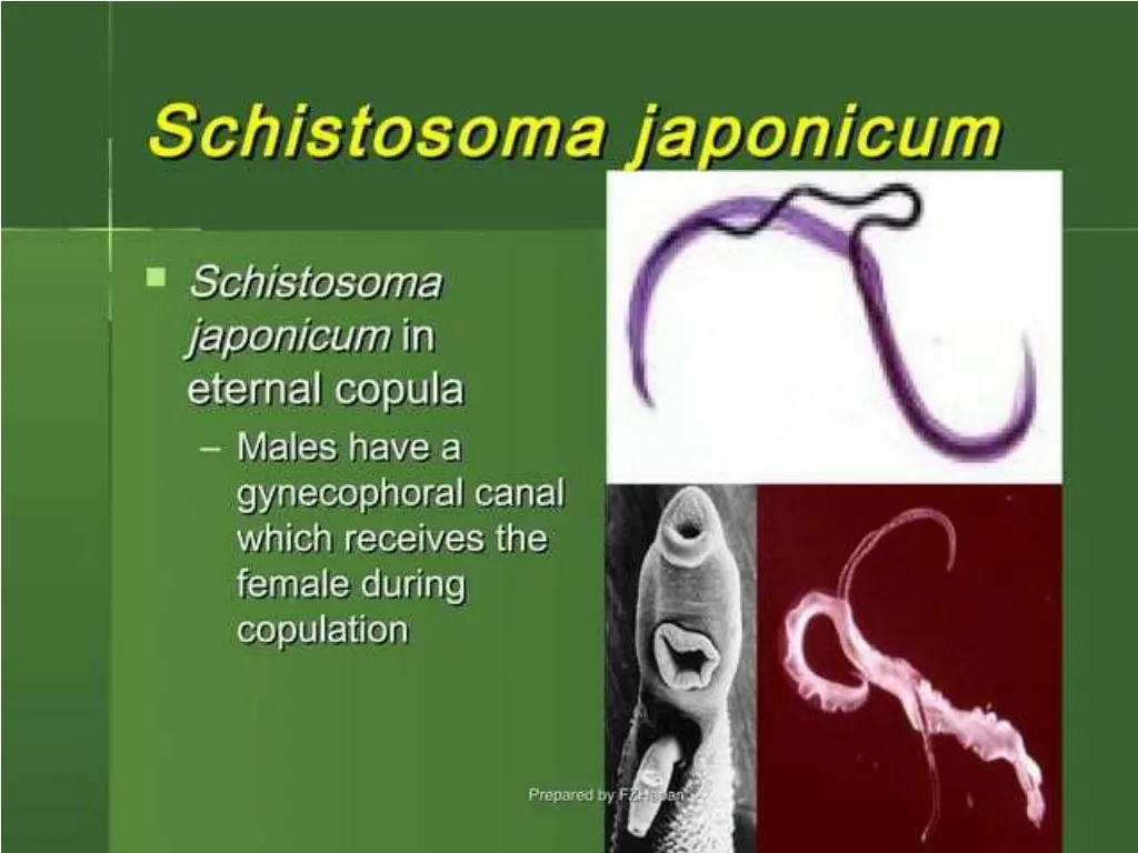 slide10