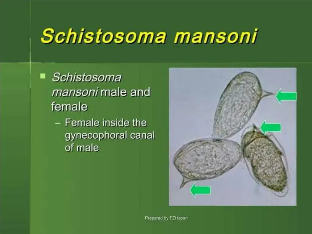 slide12