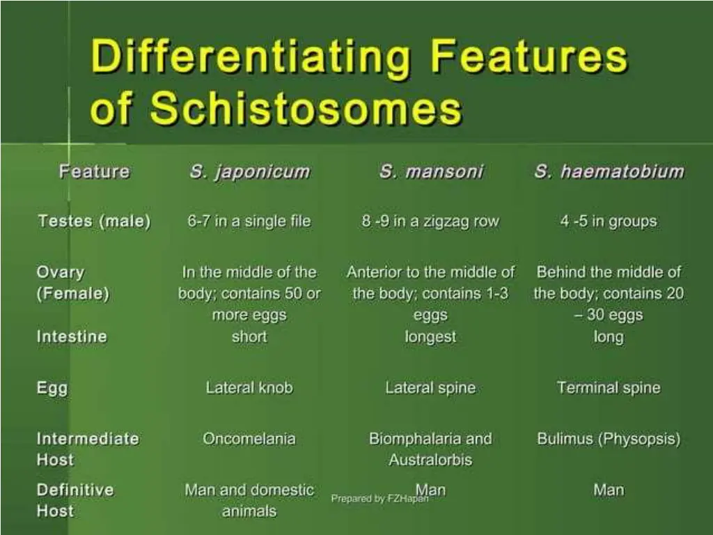 slide14