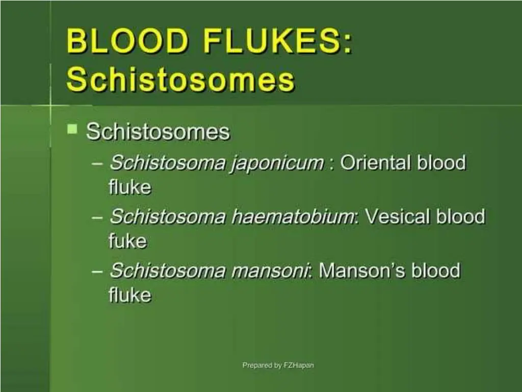 slide3
