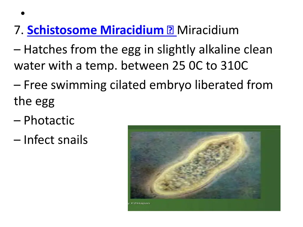slide4