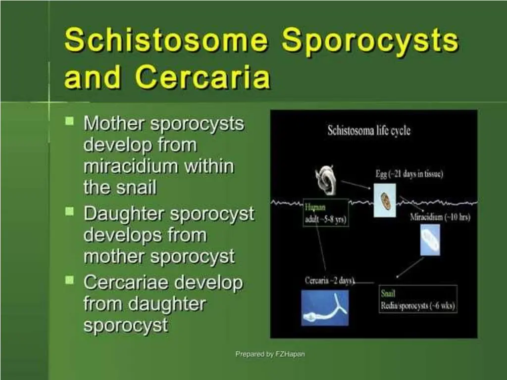 slide5