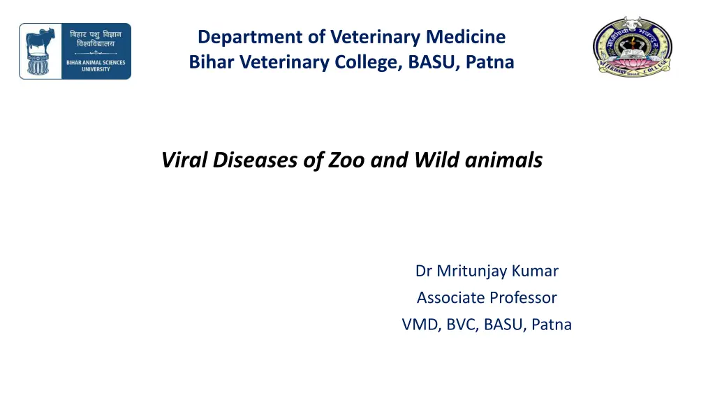 department of veterinary medicine bihar