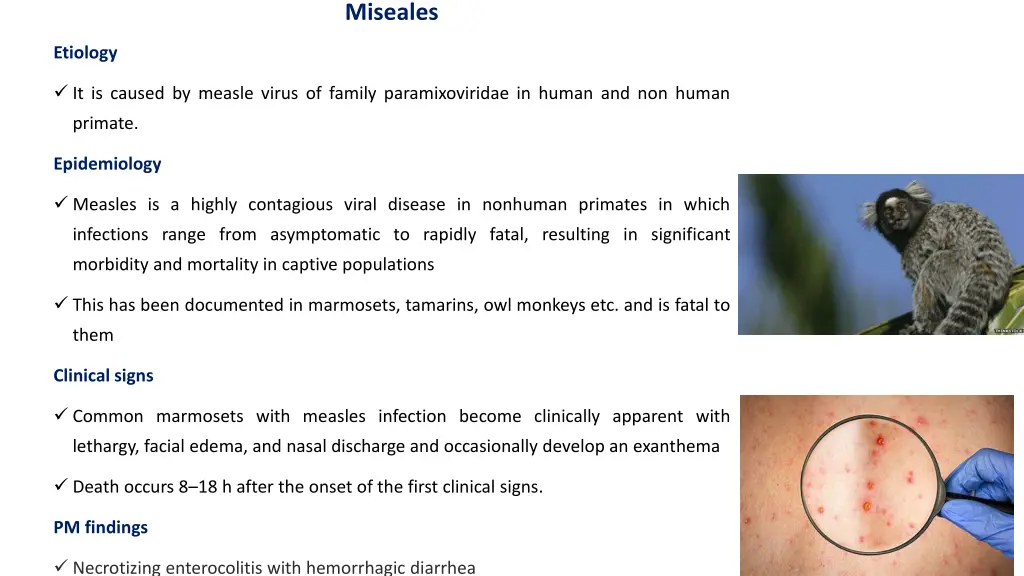 miseales
