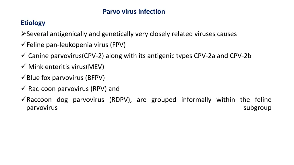 parvo virus infection