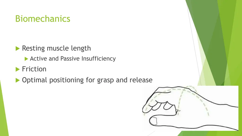 biomechanics