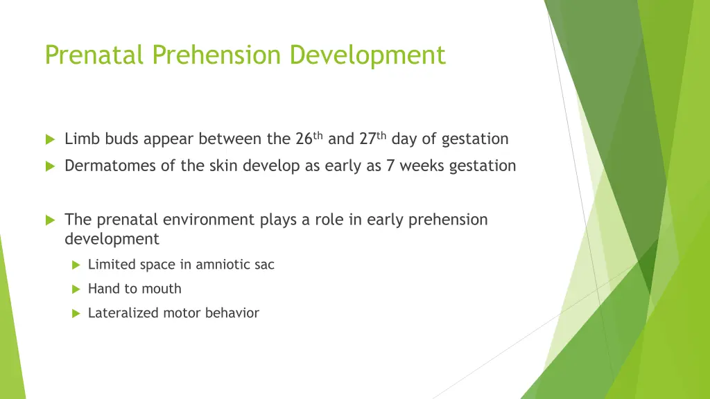 prenatal prehension development
