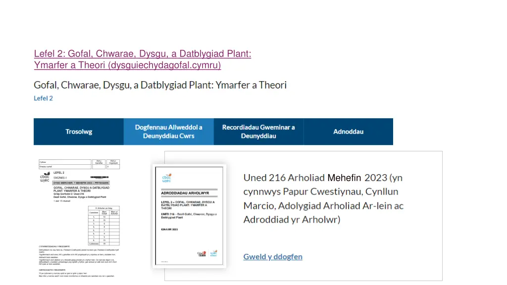 lefel 2 gofal chwarae dysgu a datblygiad plant