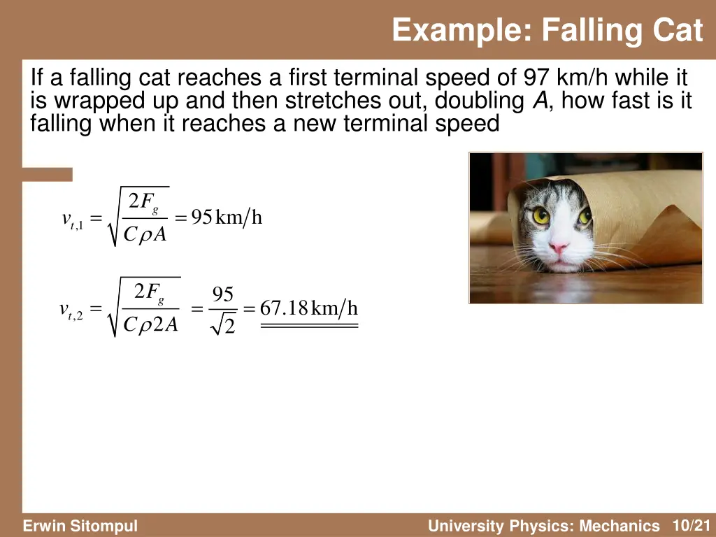 example falling cat