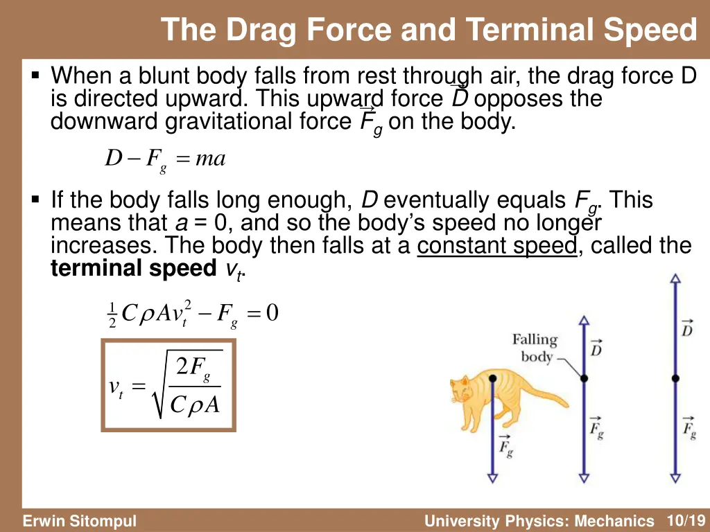 the drag force and terminal speed 2