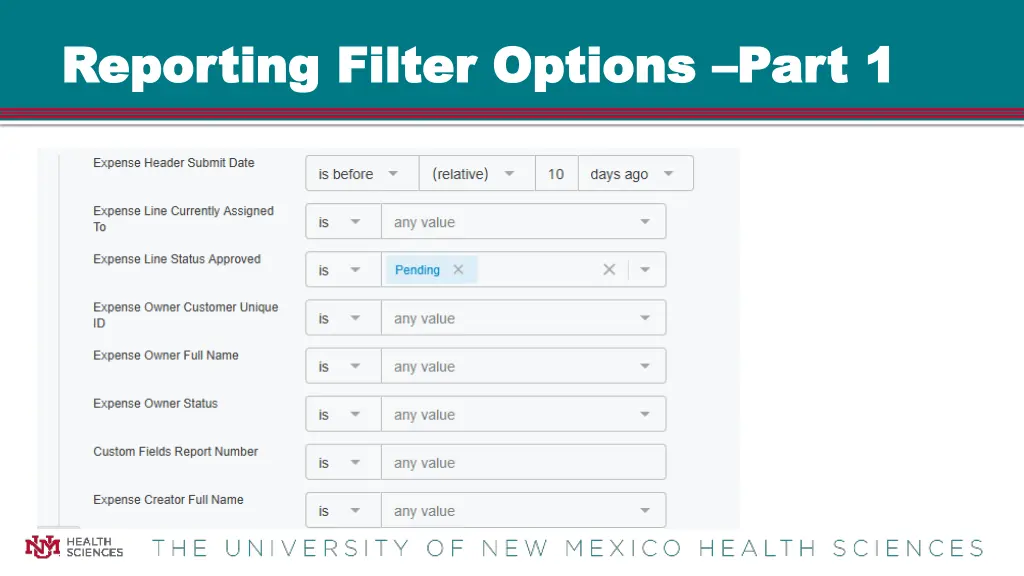 reporting filter options reporting filter options