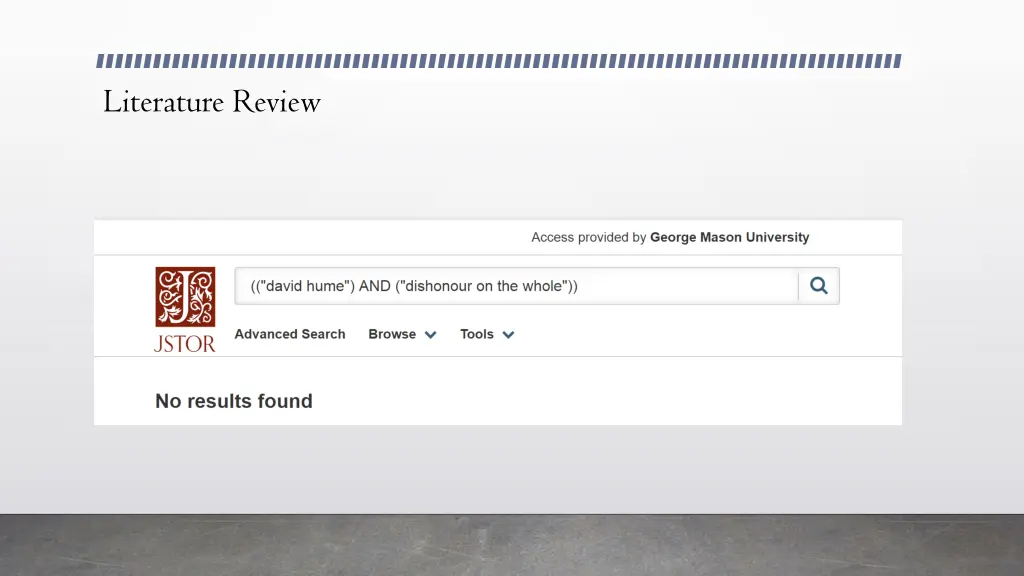 literature review