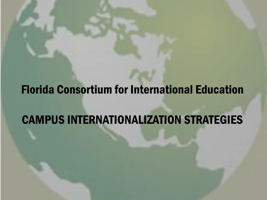 florida consortium for international education