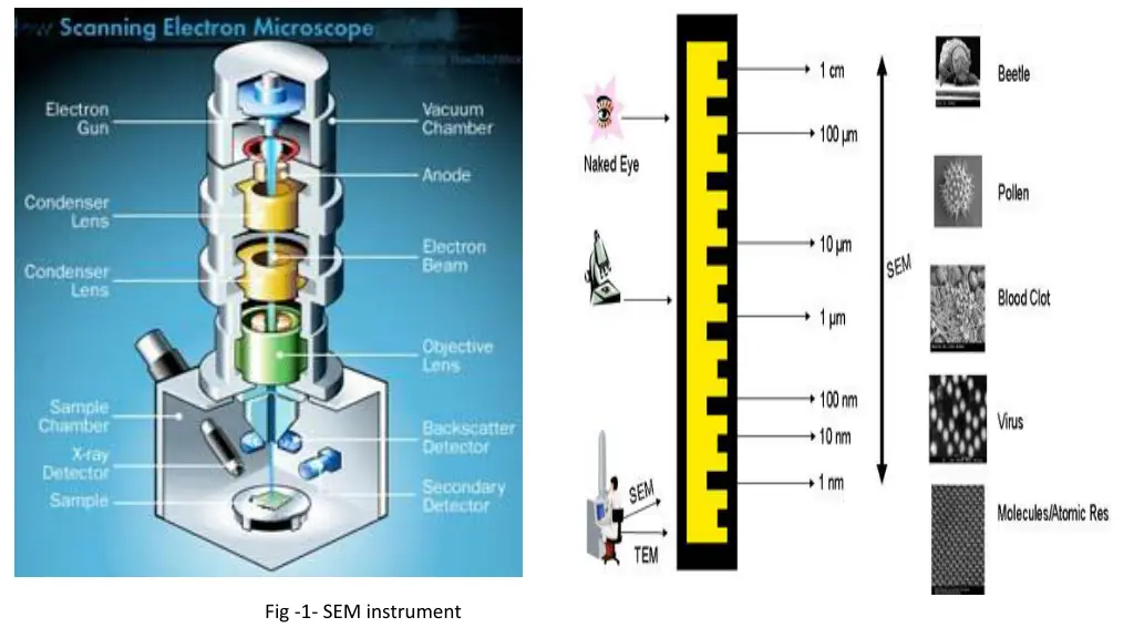 fig 1 sem instrument