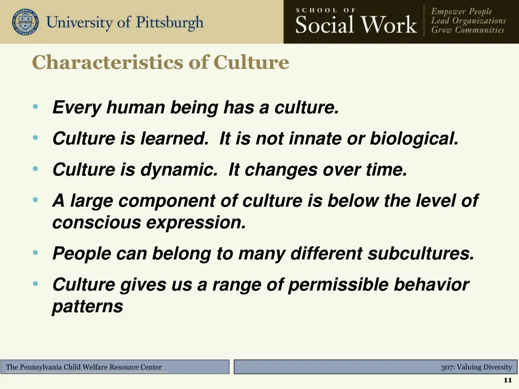 characteristics of culture