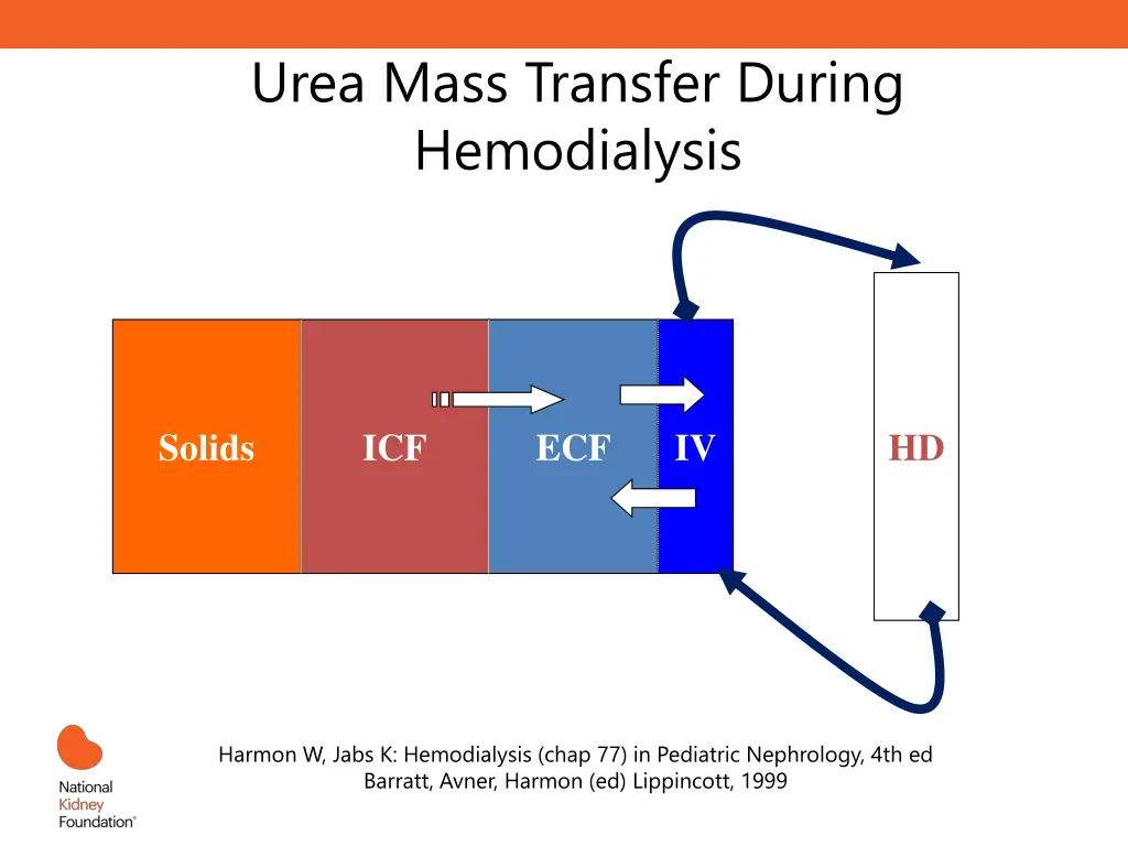 urea mass transfer during hemodialysis