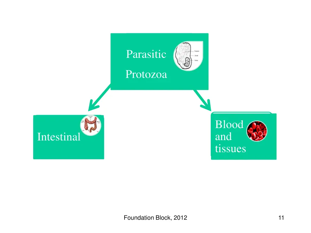 parasitic