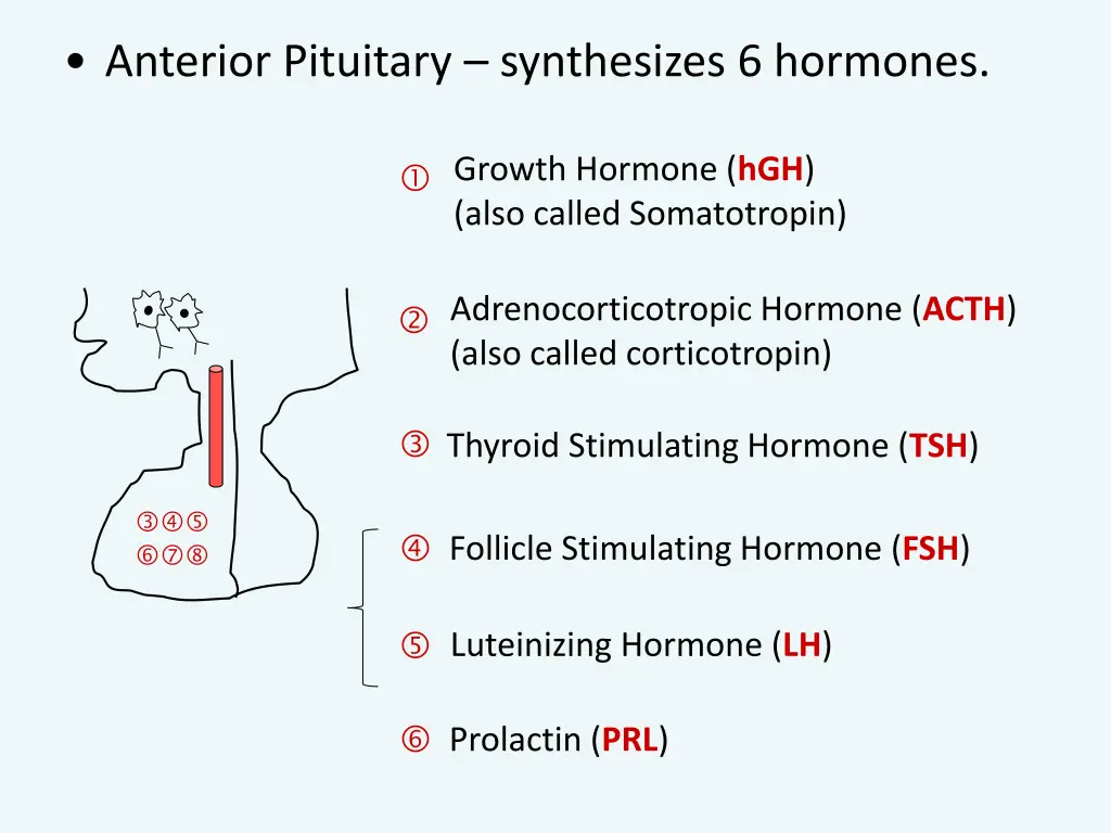 anterior pituitary synthesizes 6 hormones