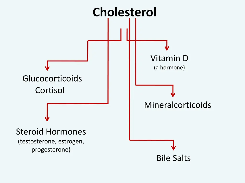 cholesterol