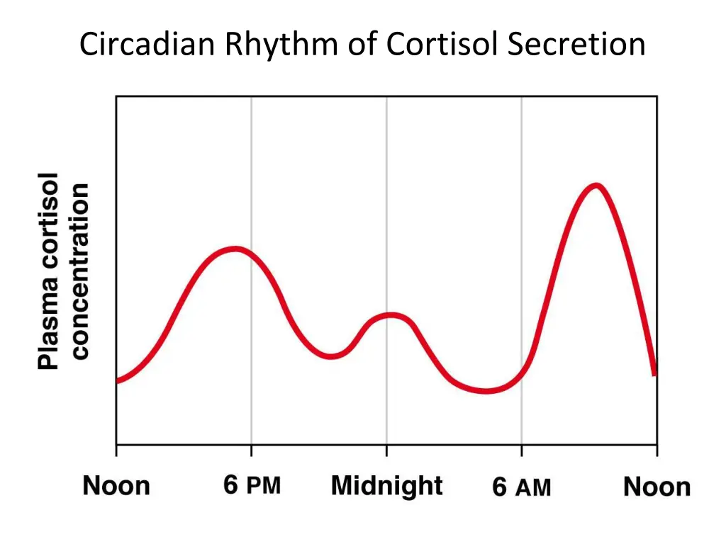 circadian rhythm of cortisol secretion