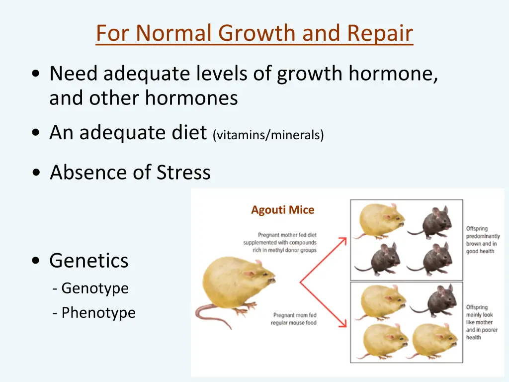 for normal growth and repair