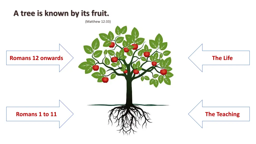 a tree is known by its fruit