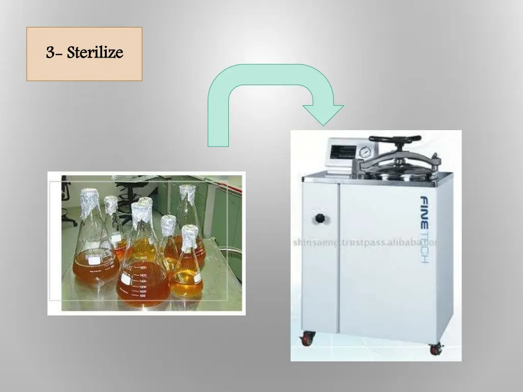 3 3 sterilize