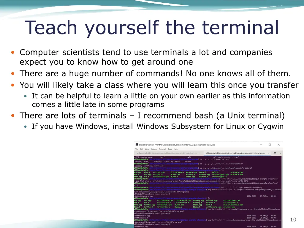 teach yourself the terminal
