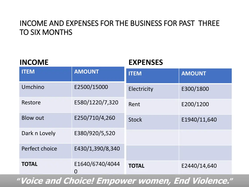 income and expenses for the business for past