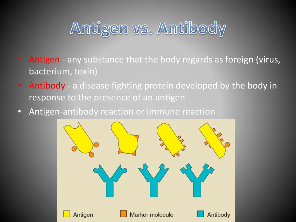 antigen vs antibody