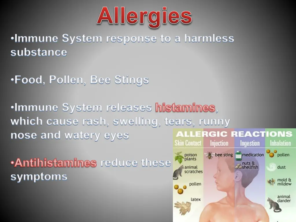 immune system response to a harmless substance