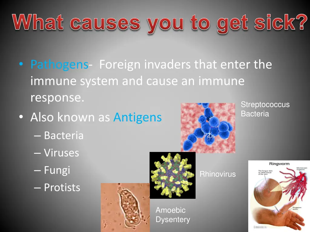 pathogens foreign invaders that enter the immune