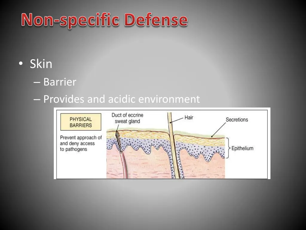 skin barrier provides and acidic environment