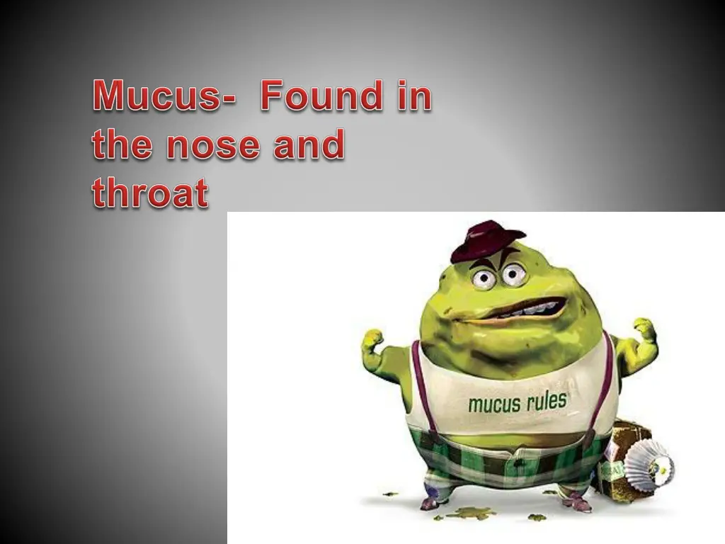 slide19
