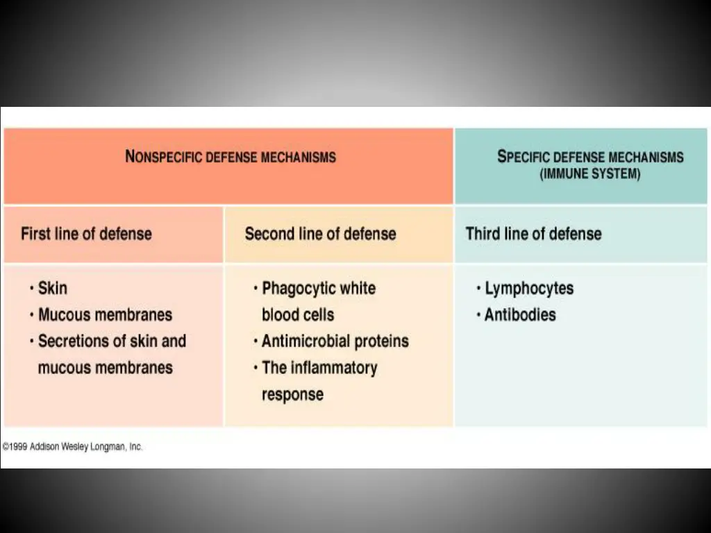 slide21