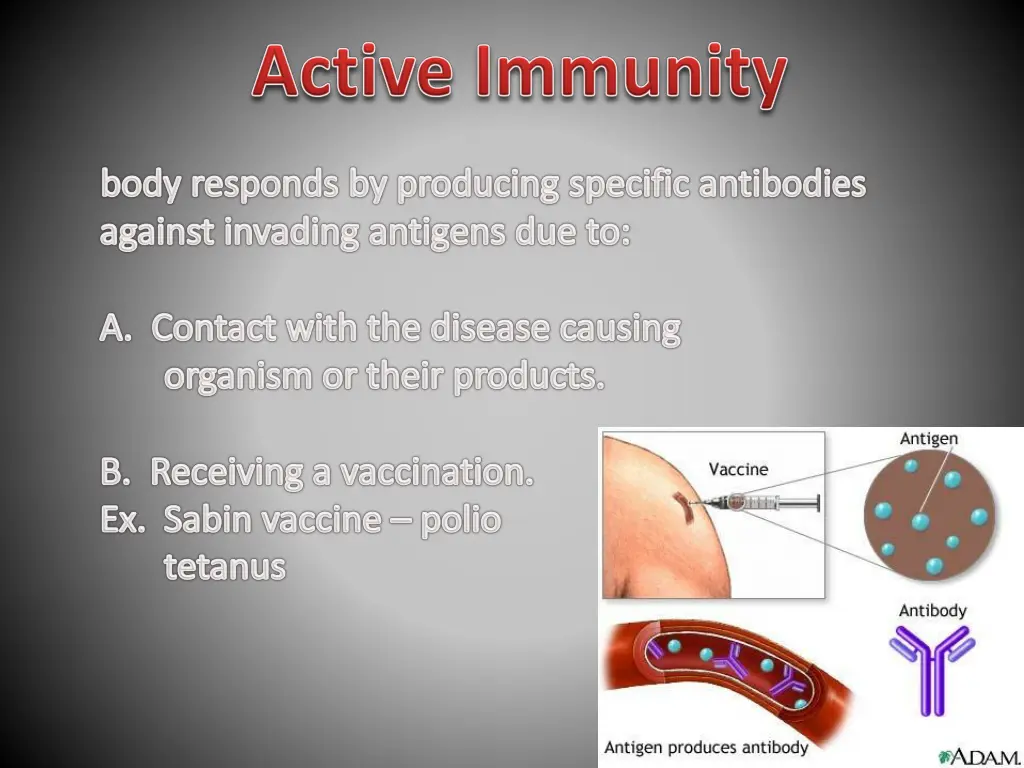 slide27