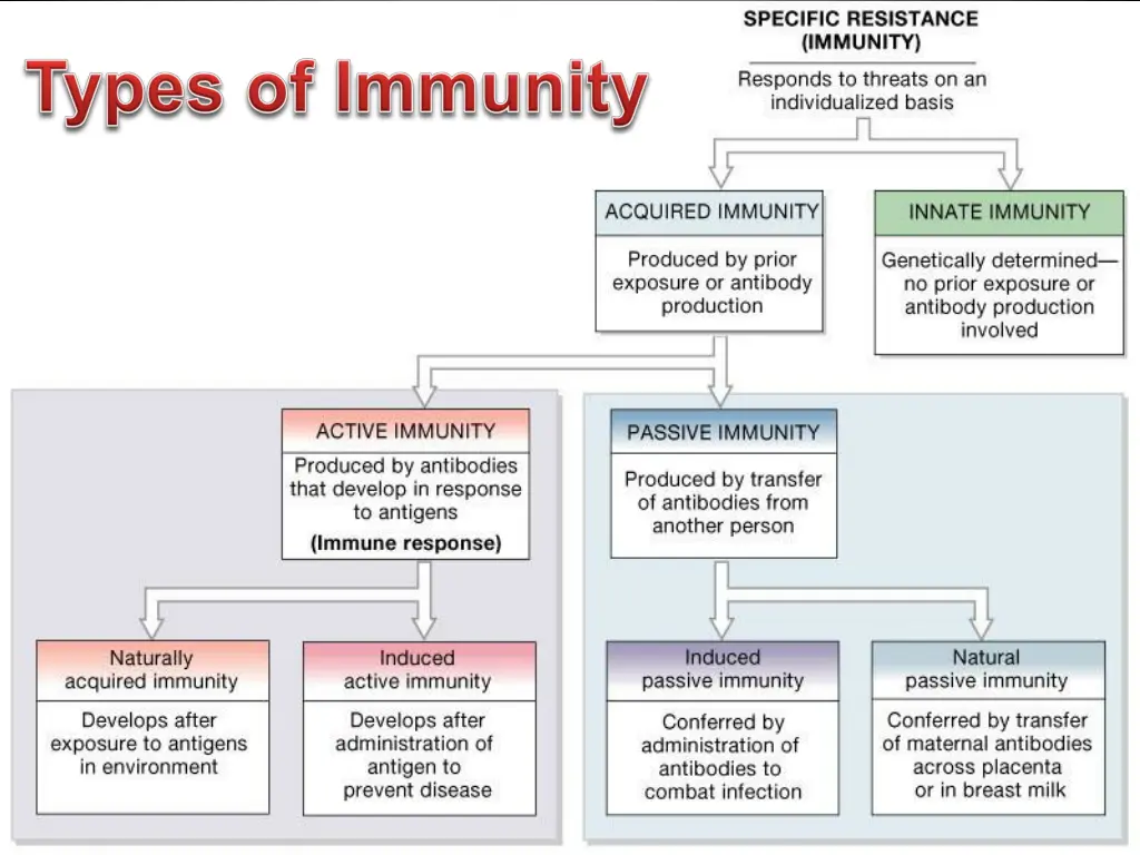 slide29