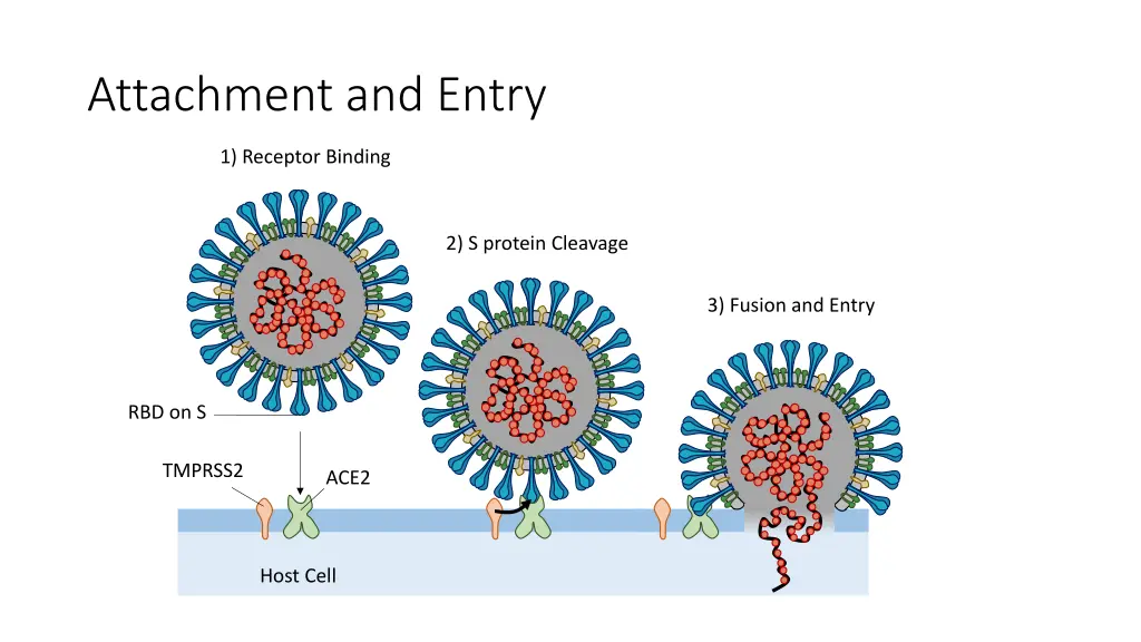 attachment and entry