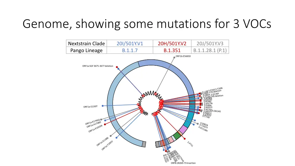 genome showing some mutations for 3 vocs