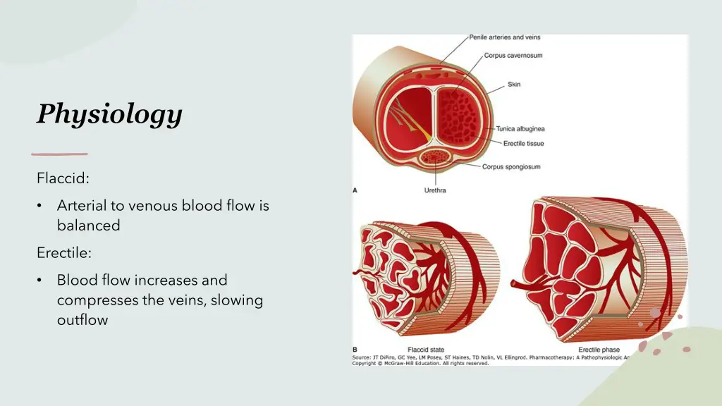 physiology