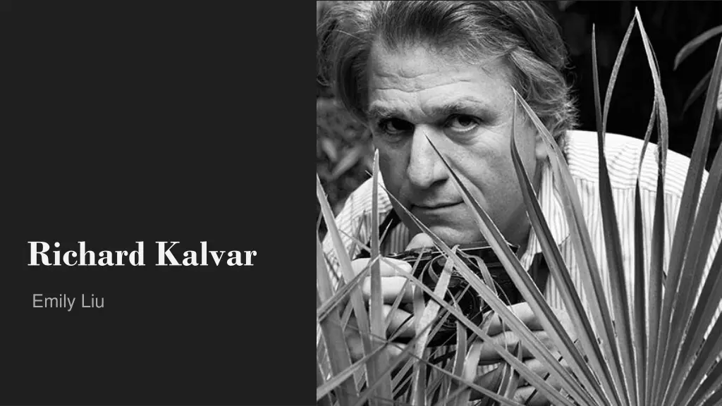 richard kalvar