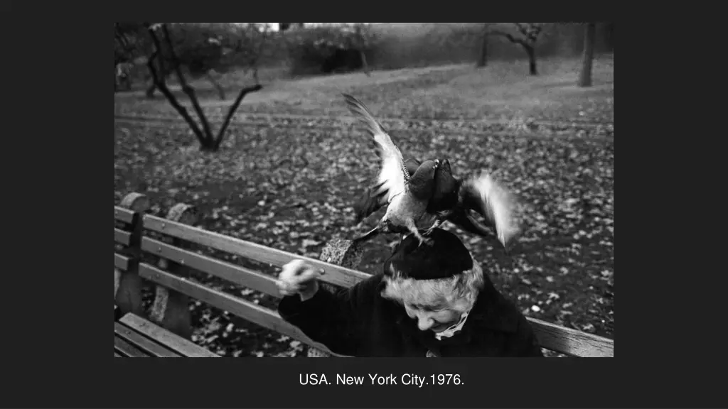 usa new york city 1976