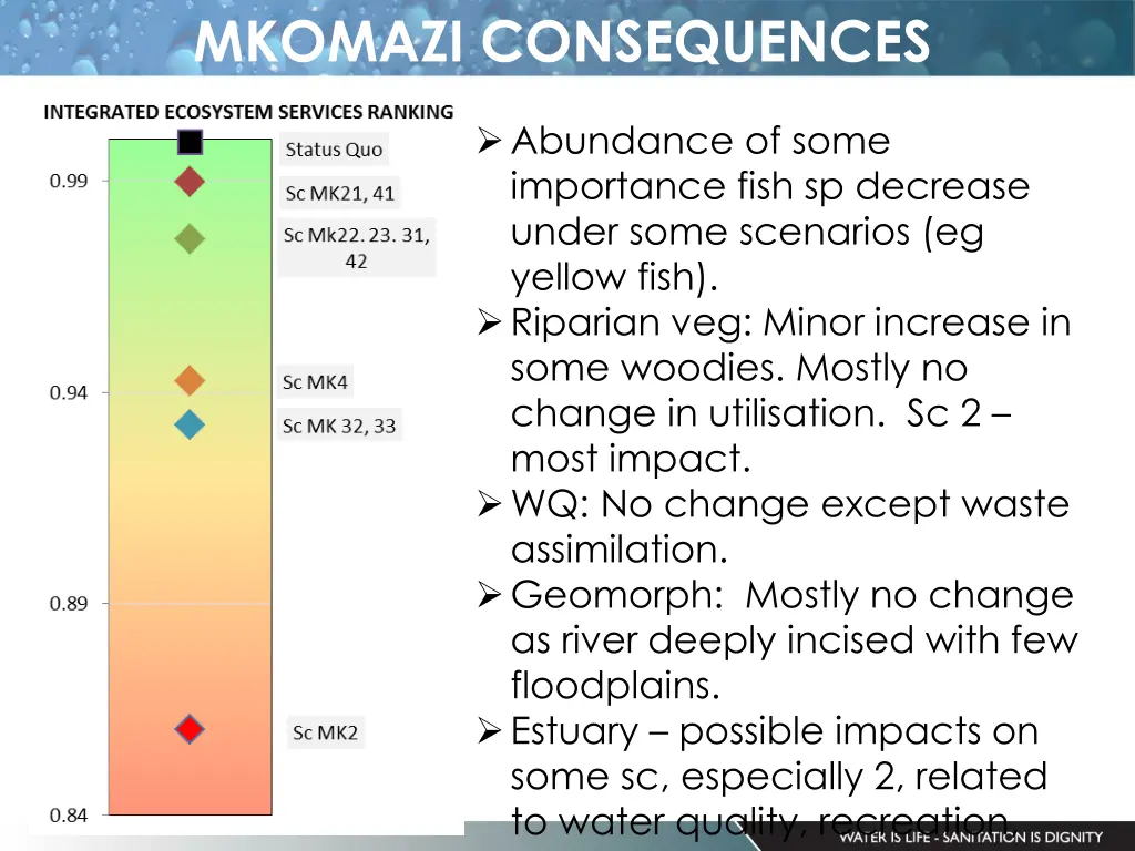 mkomazi consequences