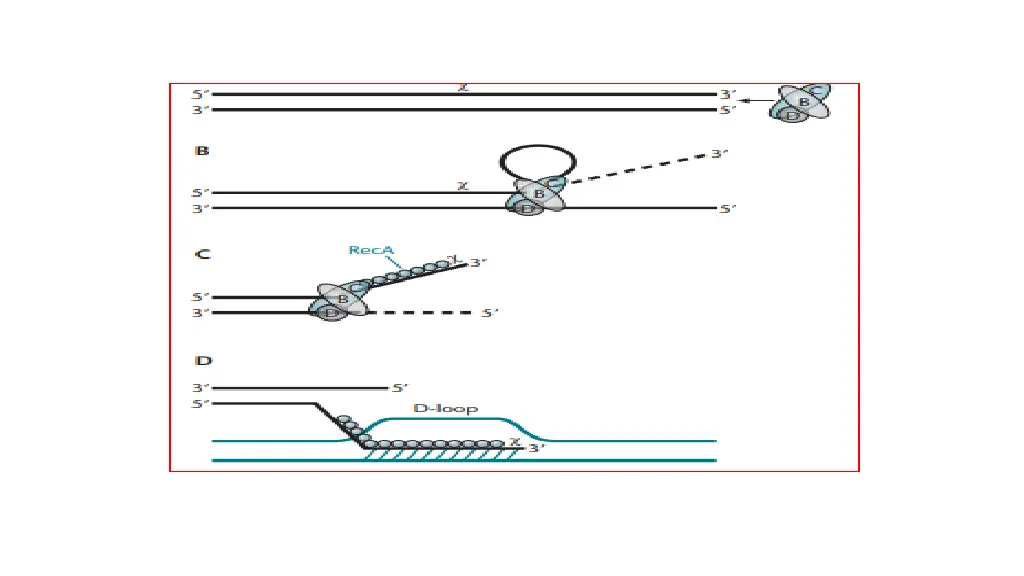 slide3