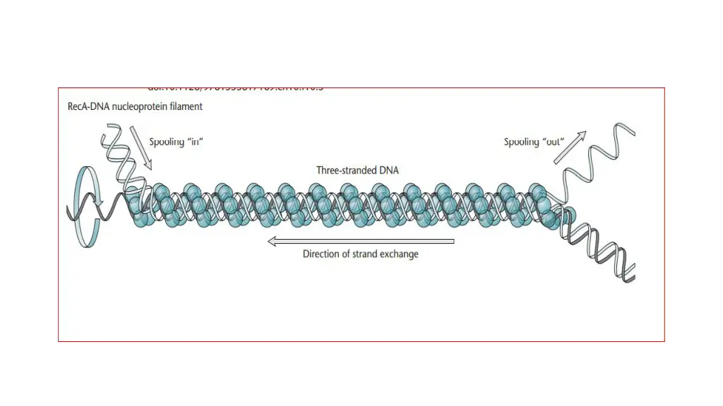 slide5