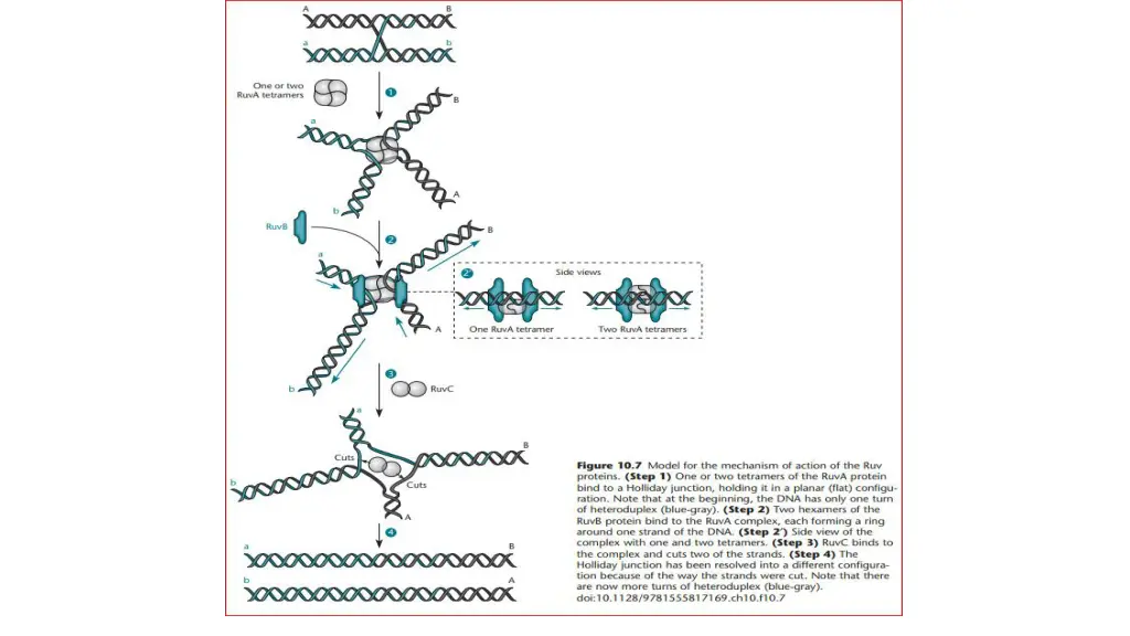 slide7