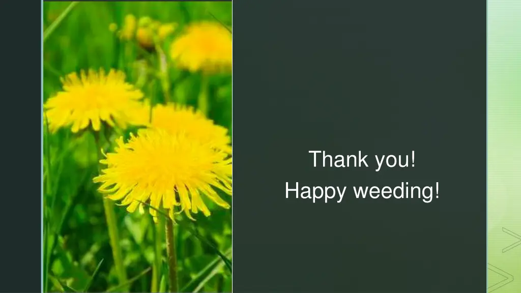 slide22