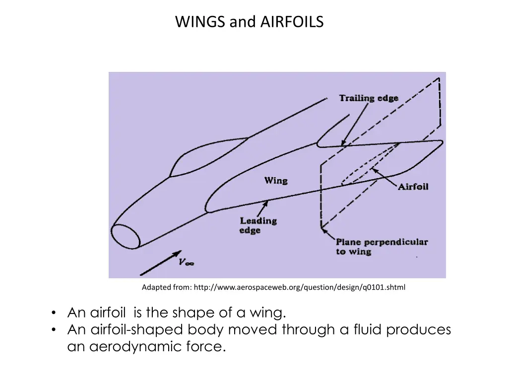 wings and airfoils