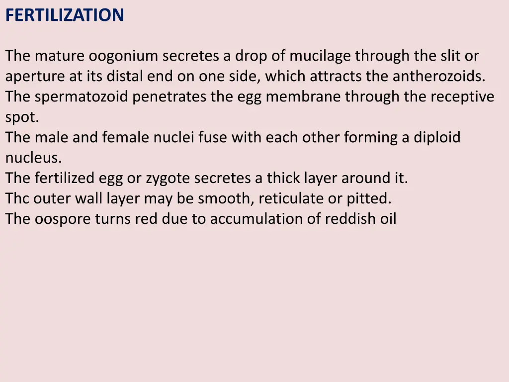 fertilization